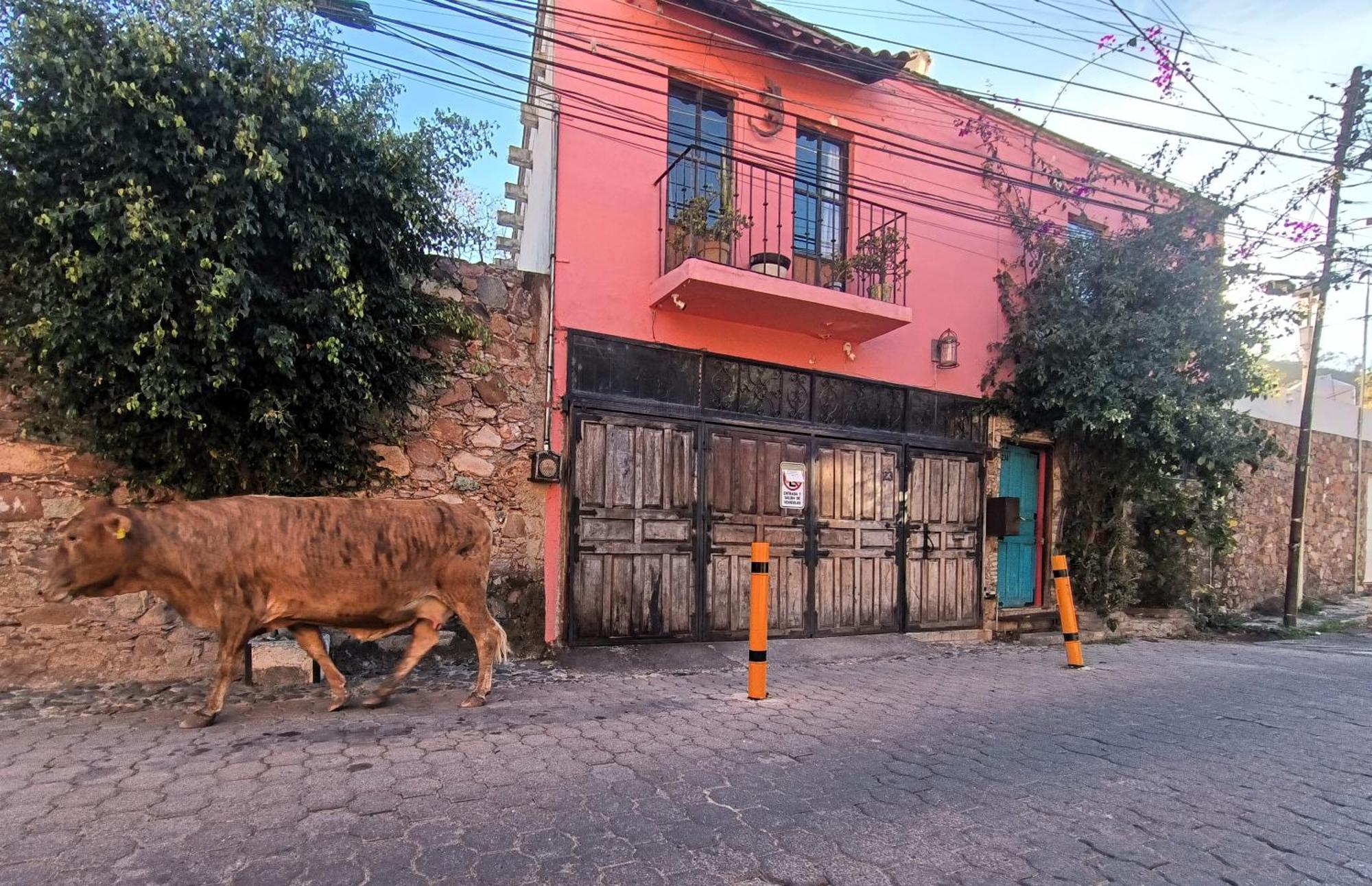 El Refugio De San Matias Aparthotel Guanajuato Exterior photo
